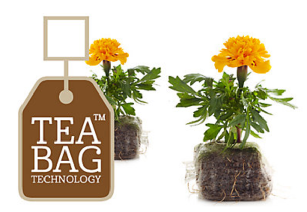 B & Q Beet- und Balkonpflanzen ohne Plastiktöpfe unter der Marke TEA BAG Technology