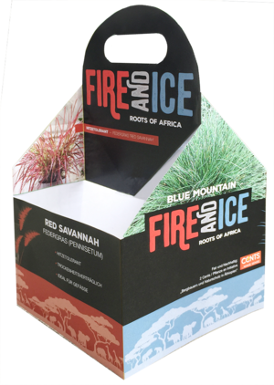 Verkaufstray «Fire and Ice» für vier Pflanzen, welche der Kunde selber zusammenstellen kann.