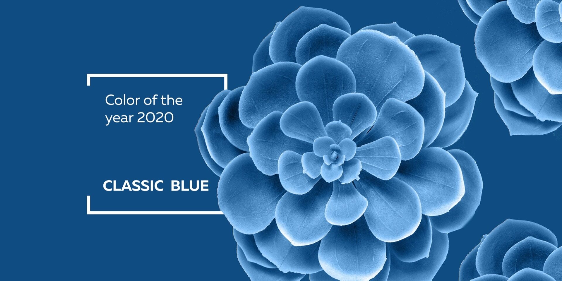 Die Farbe des Jahres 2020 – «CLASSIC BLUE»