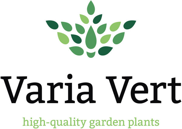 Ein gutes Beispiel ist Varia Vert – höchste Kompetenz für die Märkte Schweiz und Österreich