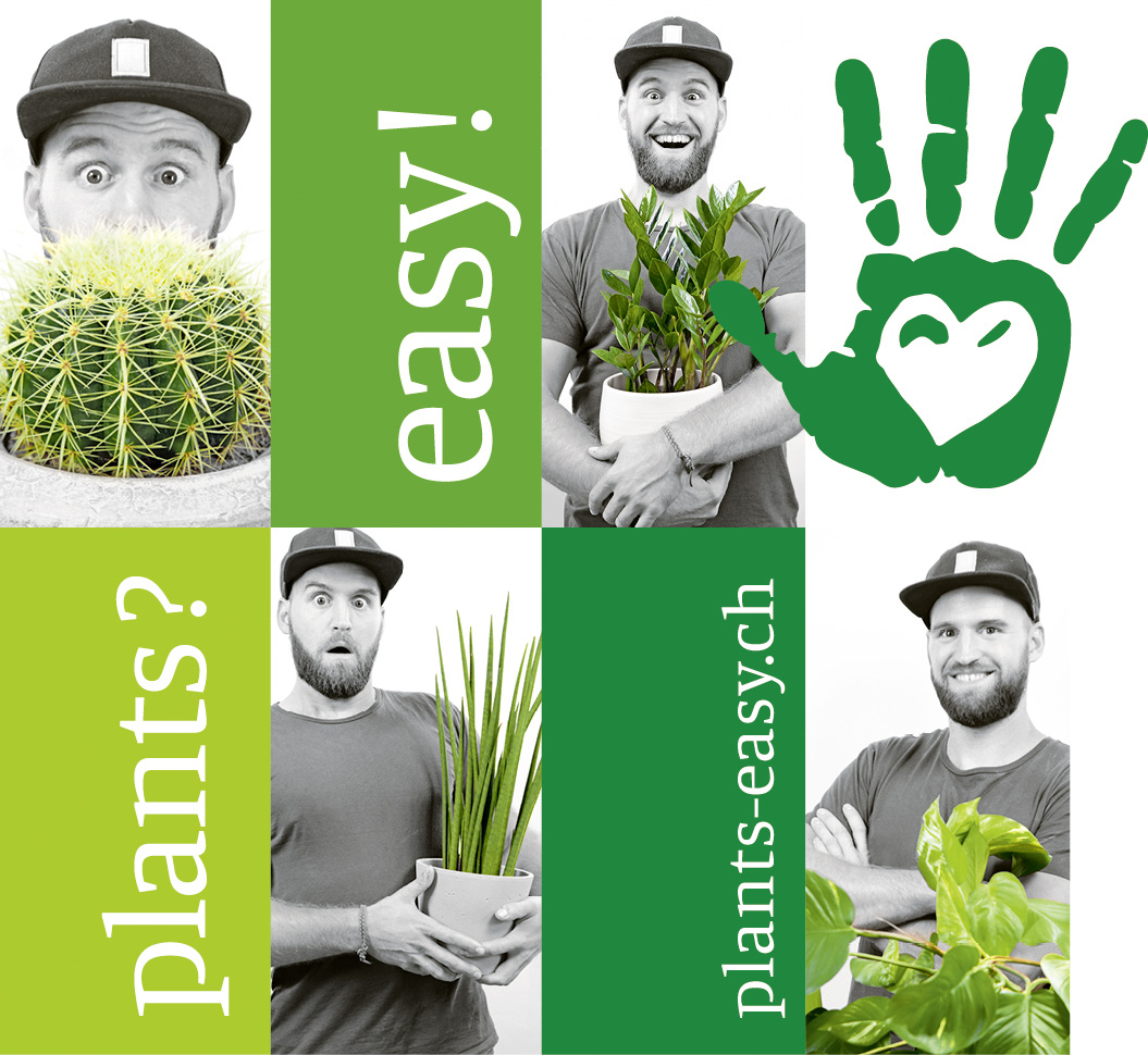 Zielgruppenerweiterung mit „plants? easy!“ Media Concept Schweiz