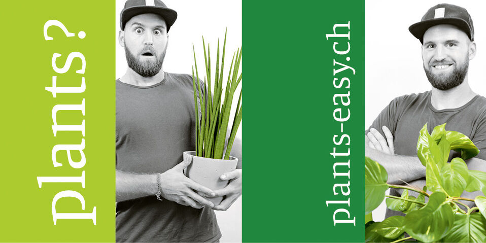 Zielgruppenerweiterung mit „plants? easy!“